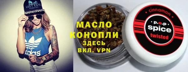 гашик Ессентукская