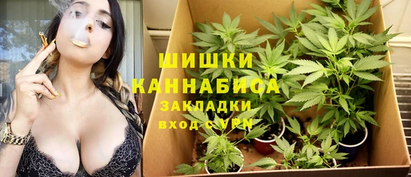 амфетамин Няндома
