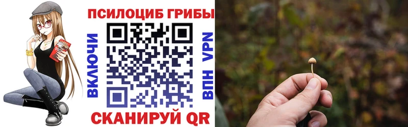 Псилоцибиновые грибы Cubensis  Руза 